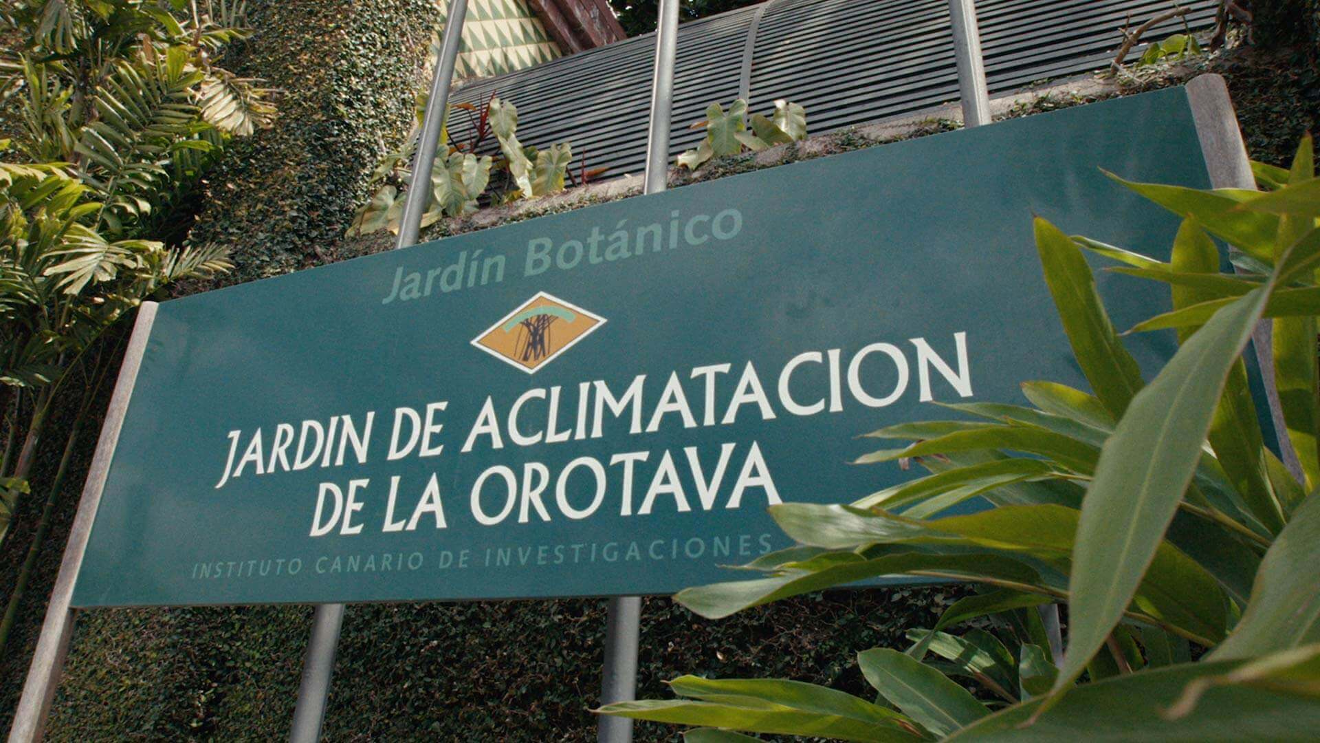 La Orotava Acclimatisation Garden, Tenerife