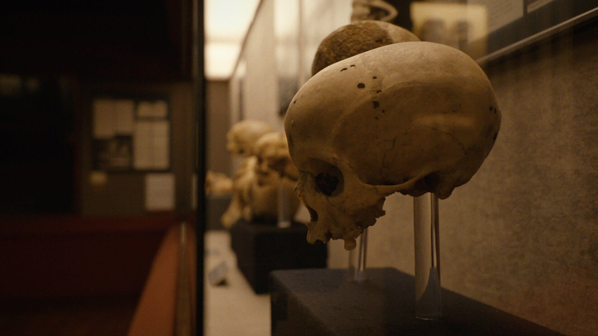 The Canarian Museum, Gran Canaria