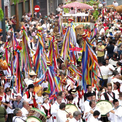 baile_de_magos_los_realejos_1