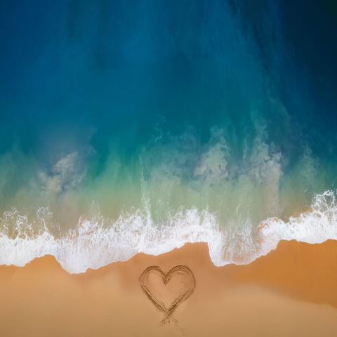 canciones_saben_amar