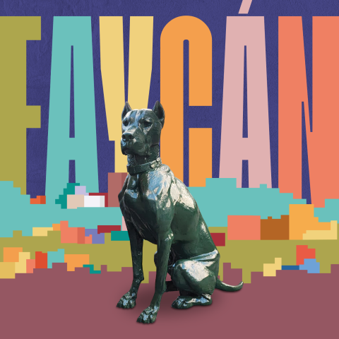 faycan
