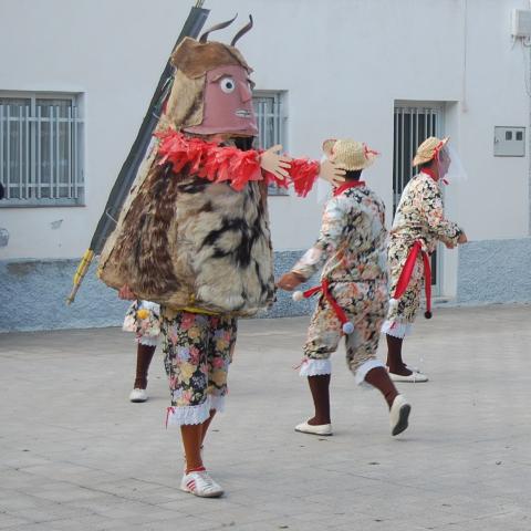 libreapalmar1