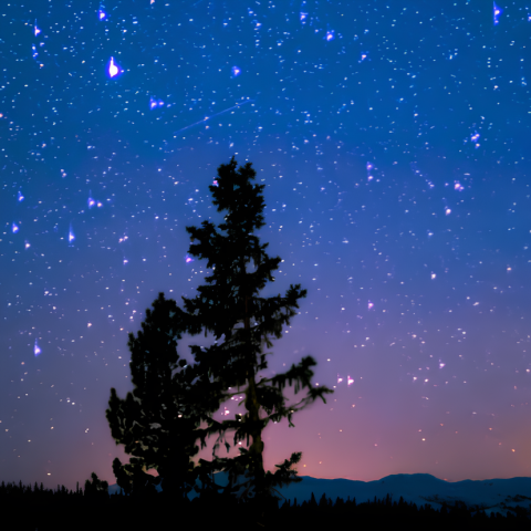 mirando_las_estrellas