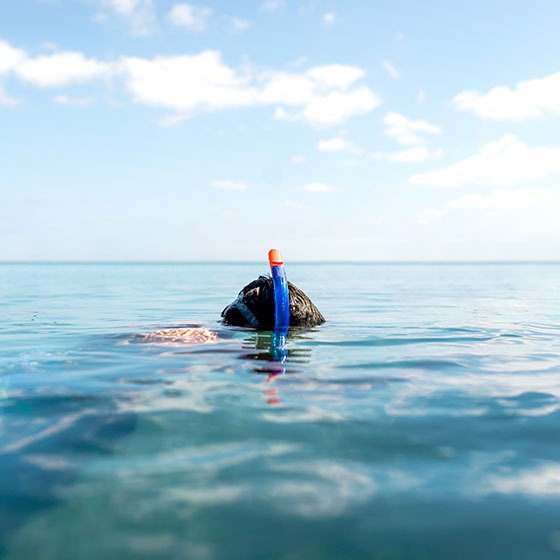 Snorkel