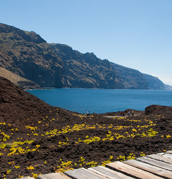 Punta de Teno