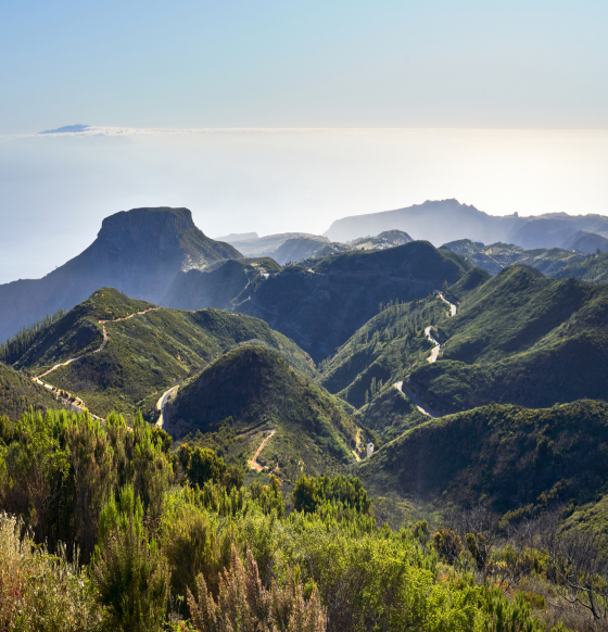 Alto-de-Garajonay-La-Gomera-Listado