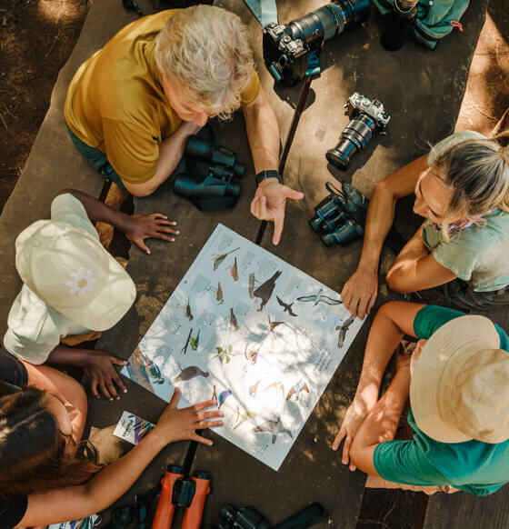A group of people with binoculars and cameras look at a print about birds on a table outdoors.