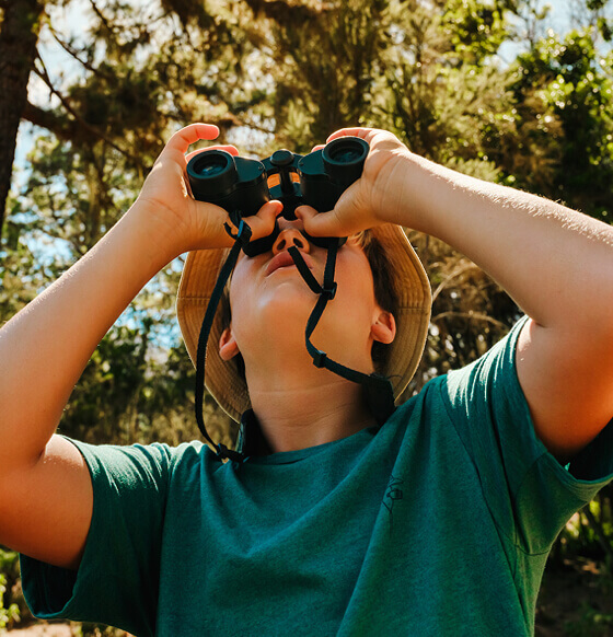 Person observing the forest environment with binoculars in the sunshine.