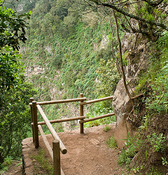 Contadero - Alto Garajonay - Contadero