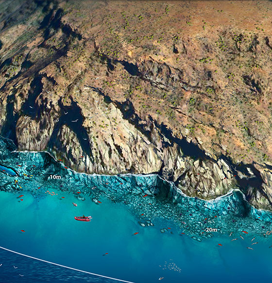 Cala Canteras