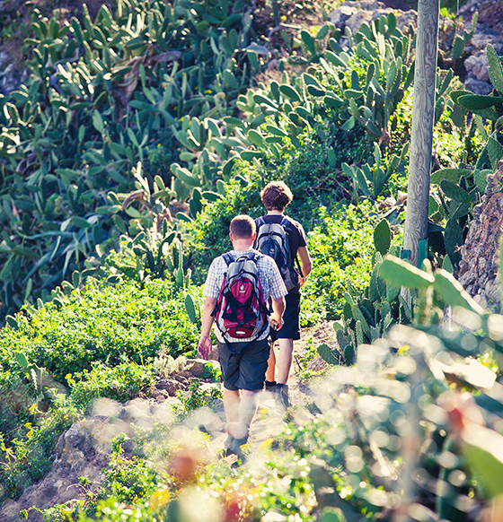 Teno Activo Actividades en la Naturaleza - listado