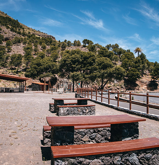 Zona recreativa del Pinar de Salamanca