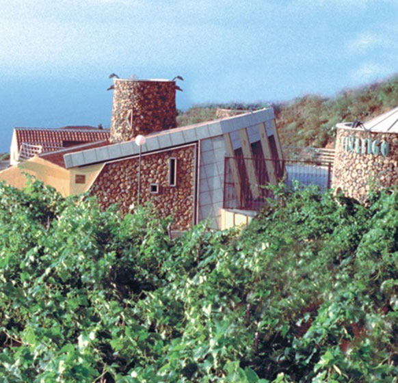 Bodegas Viñátigo