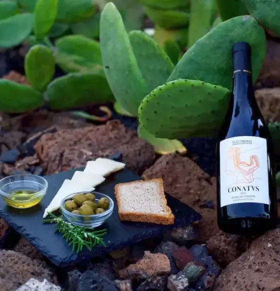 Bodegas Conatvs