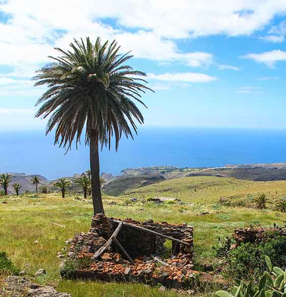 Tejiade