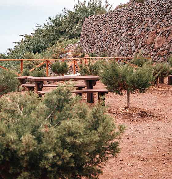 La Verdura