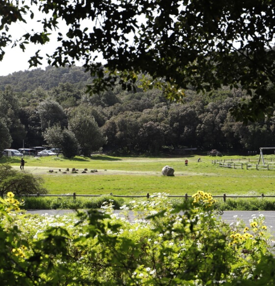 Zona recreativa Laguna Grande