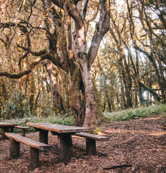Merendero Raso de La Bruma