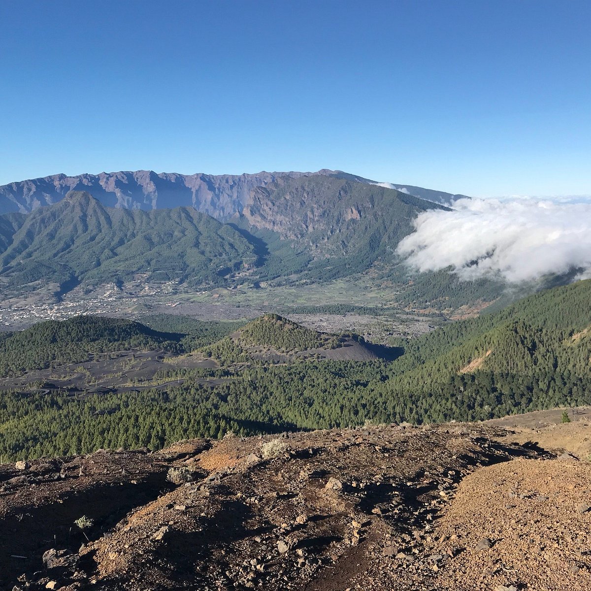 Pico birigoyo