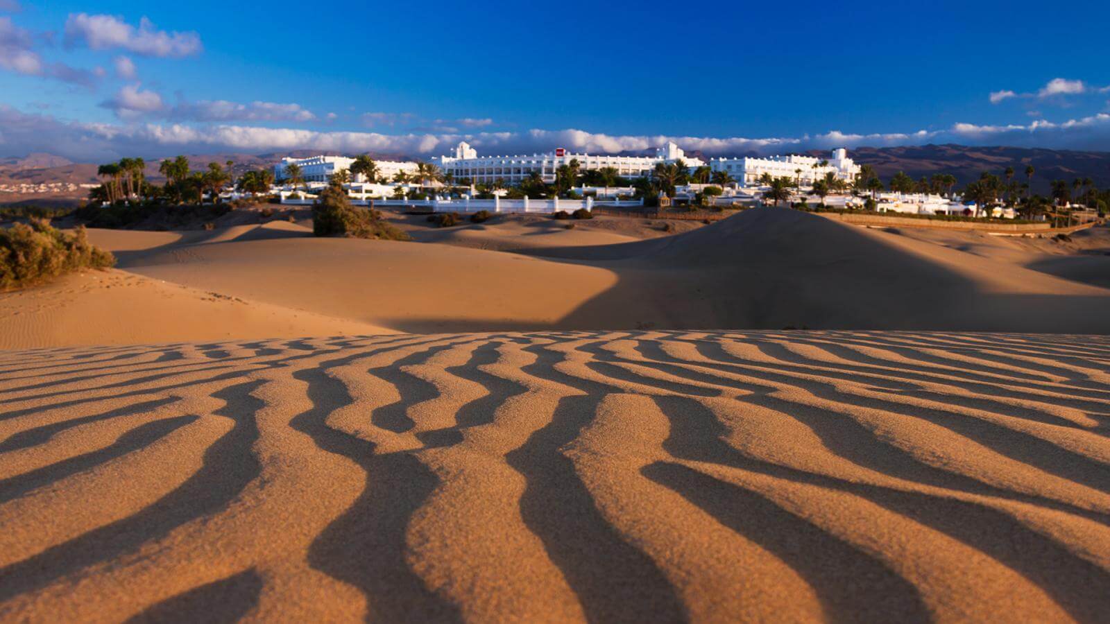 What to do in the Canary Islands in January? Hello Canary Islands