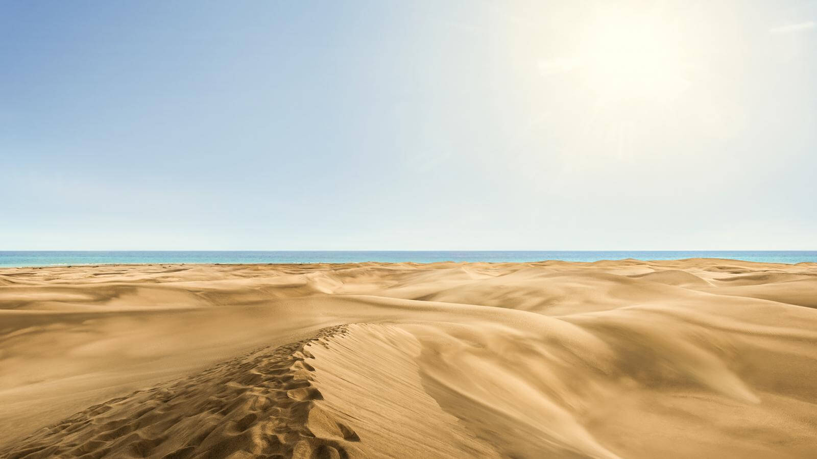 Weather in Canary Islands Explained (Simply)