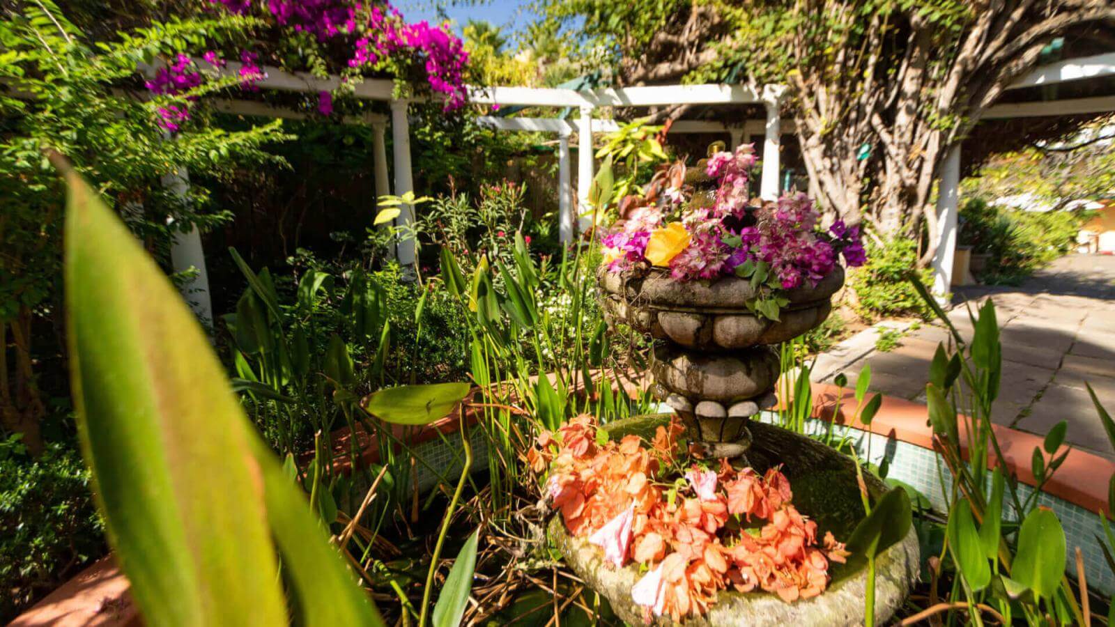 Jardín de Orquideas Sitio Litre | Hello Canary Islands