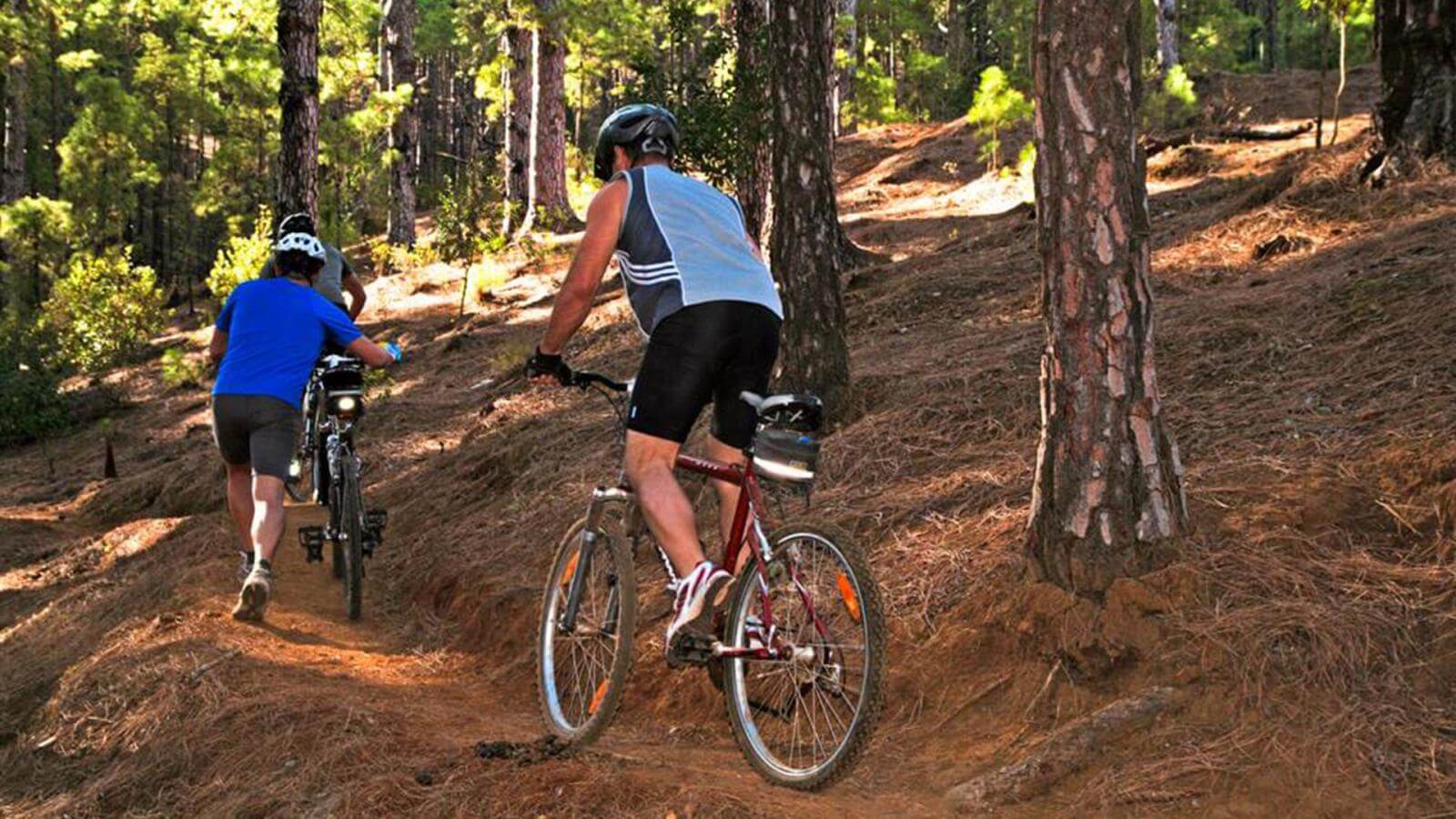 Ruta mtb best sale