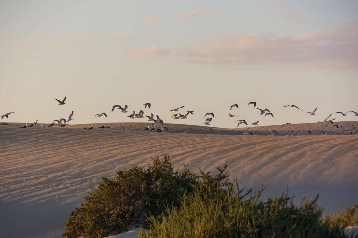 Corralejo, Fuerteventura.