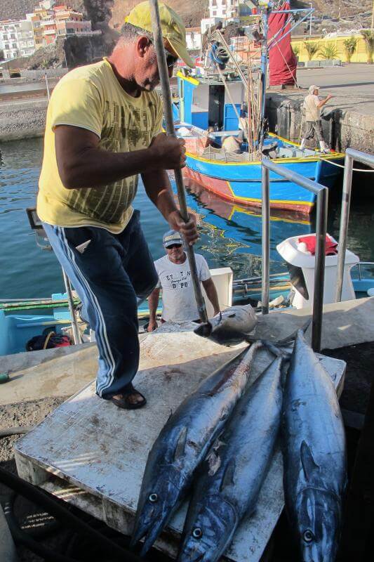 El Hierro. Pesca  Artesanal. Peto