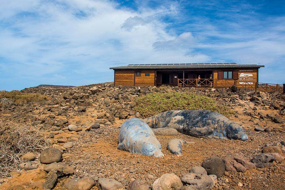 Fuerteventura. Islote de Lobos