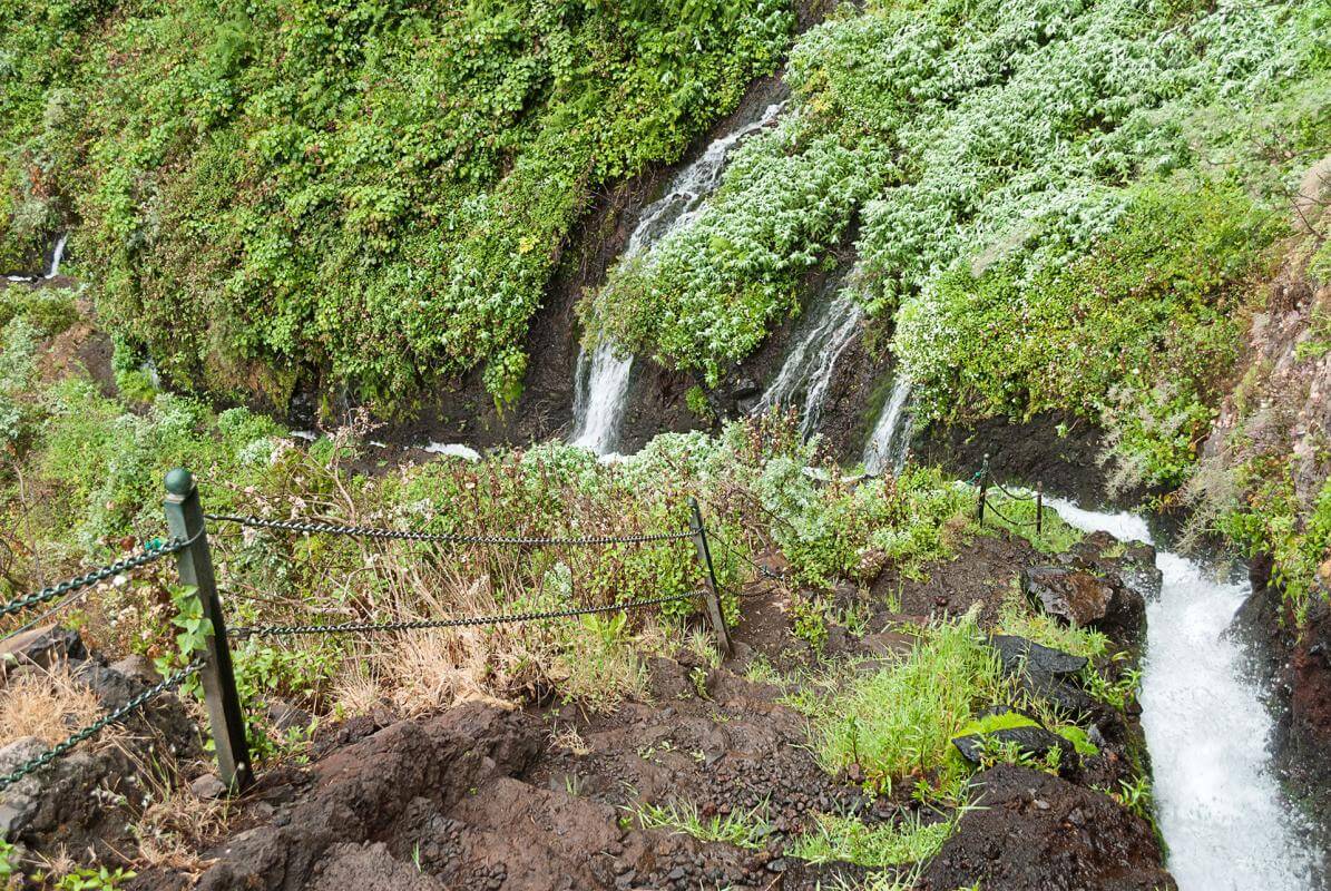 Sendero Nacientes de Marcos y Cordero