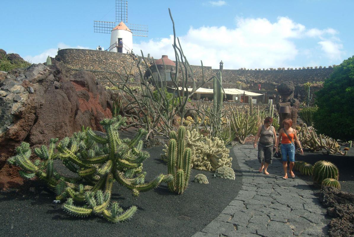 Lanzarote. Guatiza. Jardin de cactus.