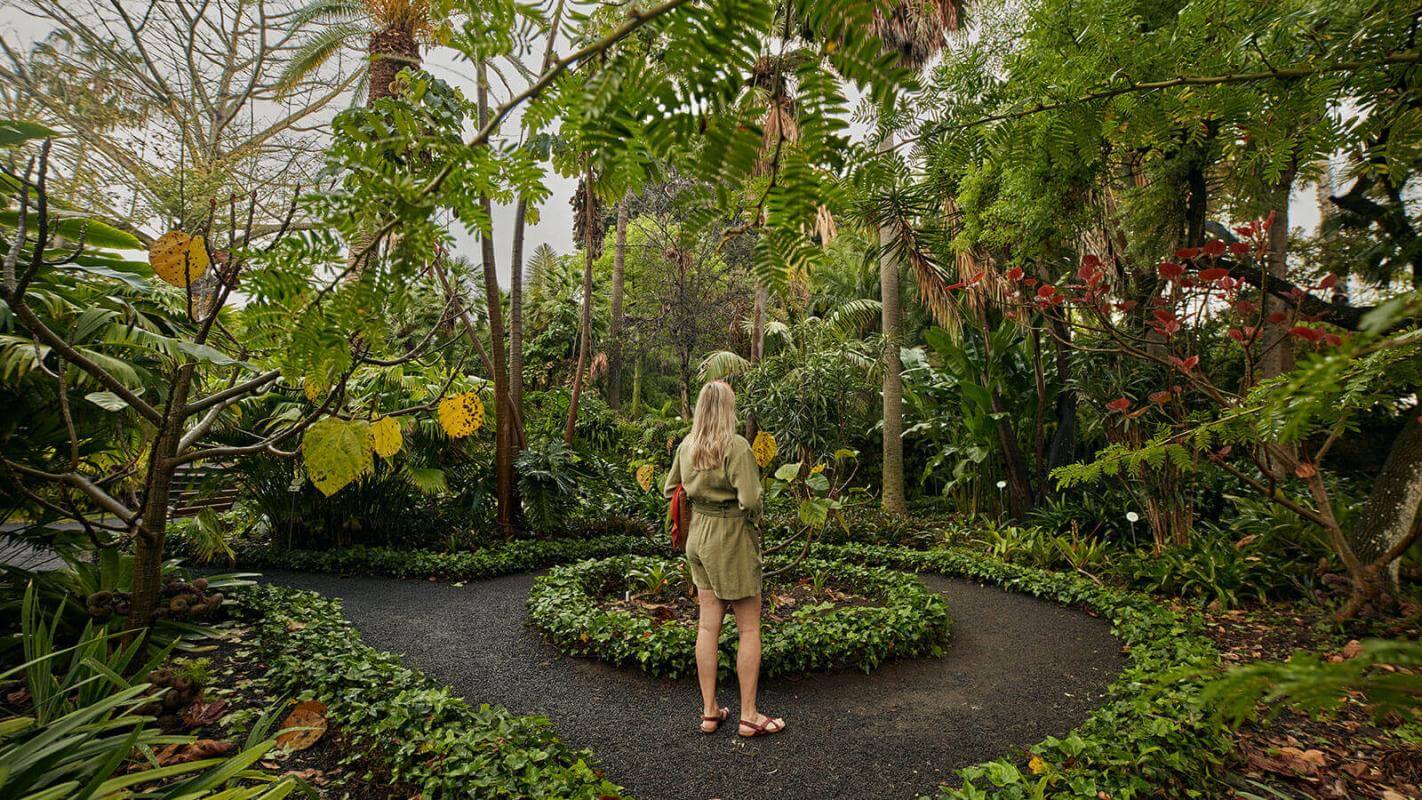 The Acclimatisation Garden of La Orotava (Tenerife)