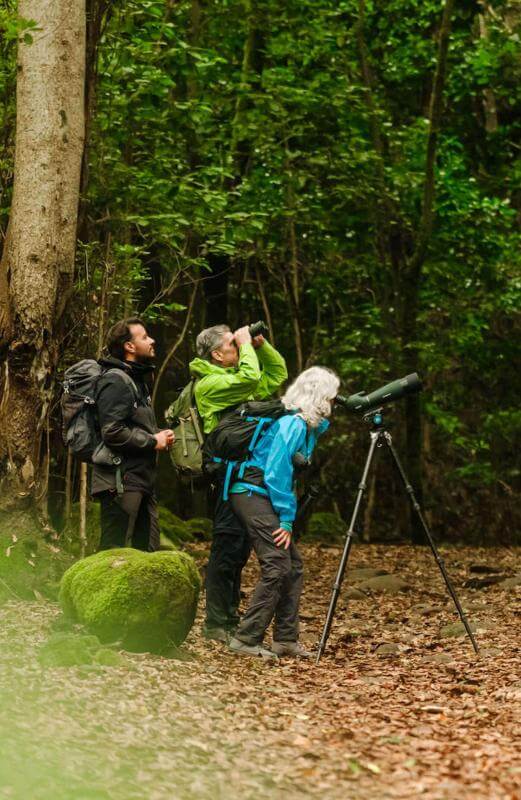 Birdwatchers with spotting scope in Anaga.