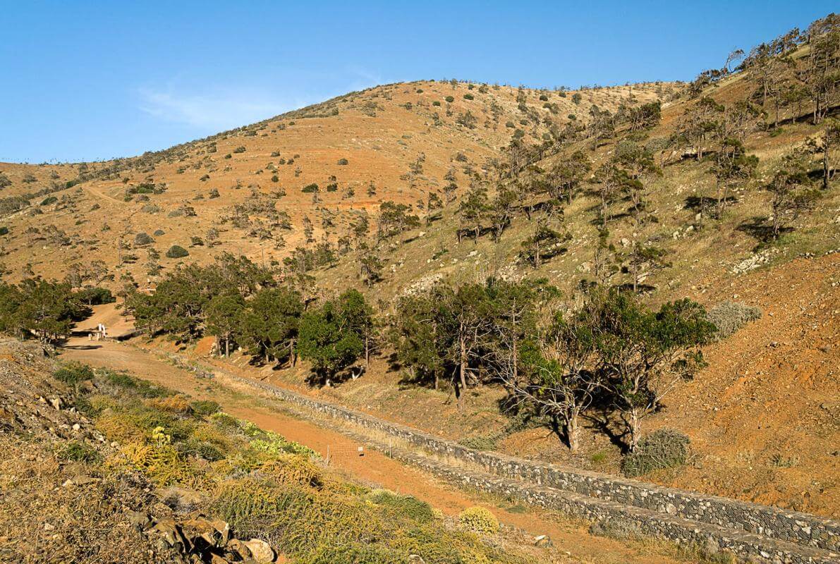 Betancuria - galeria3