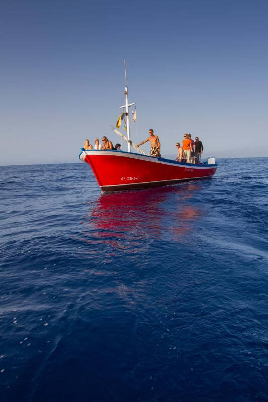 Avistamiento de cetáceos Puerto de Las Vueltas - galeria5