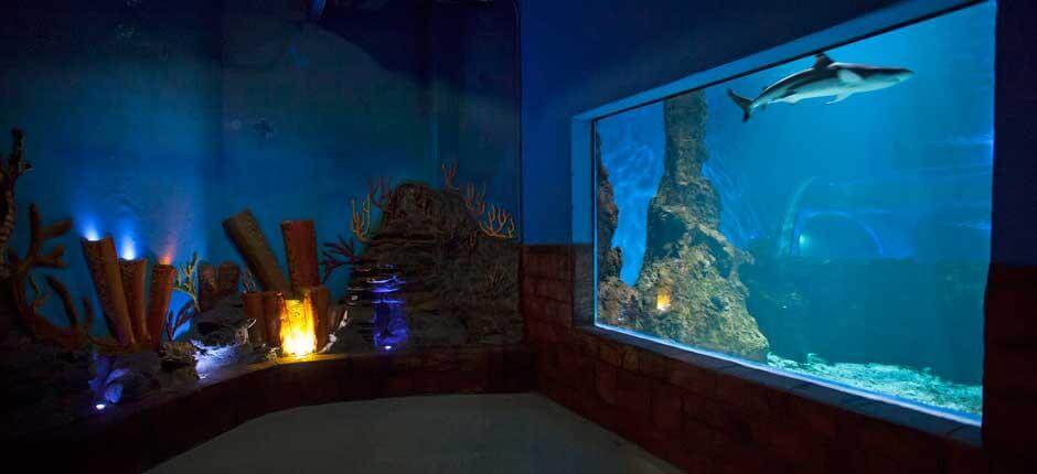 Aquariums in Lanzarote 