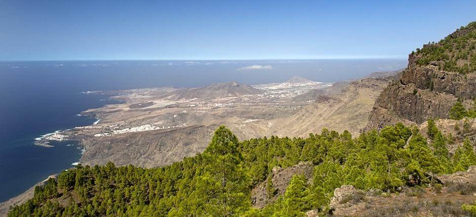 Tamadaba-Bajada de Faneque + Pathways of Gran Canaria