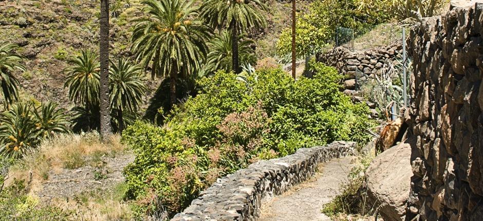 Playa Santiago-Benchijigua + Pathways of La Gomera