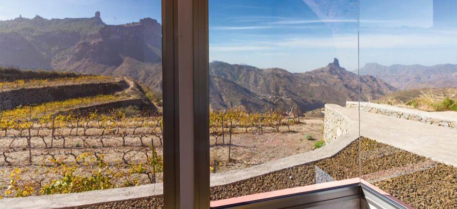 Bentayga Winery in Gran Canaria