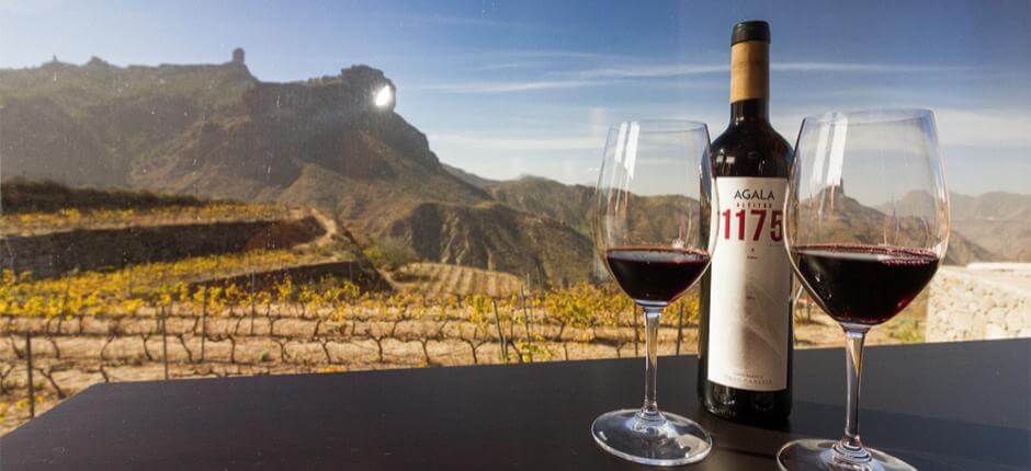 Bentayga Winery in Gran Canaria
