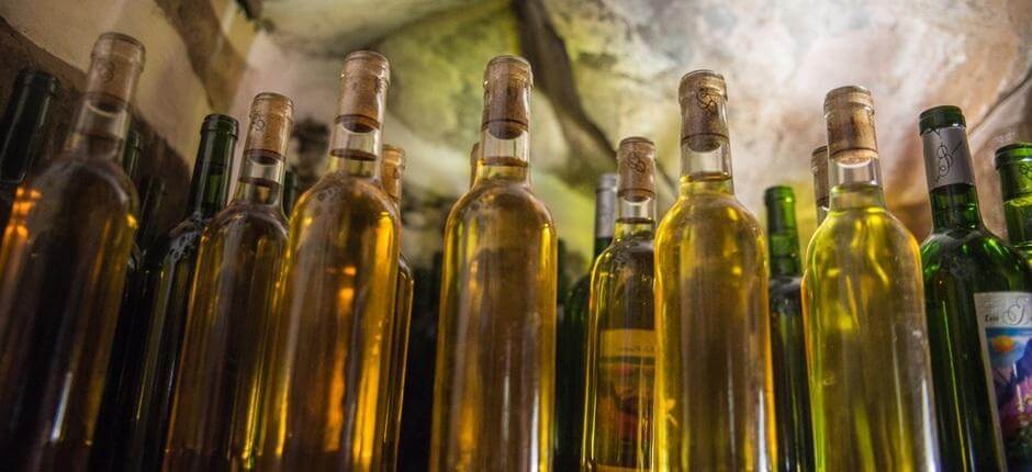 Bodega Los Berrazales. wineries of Gran Canaria