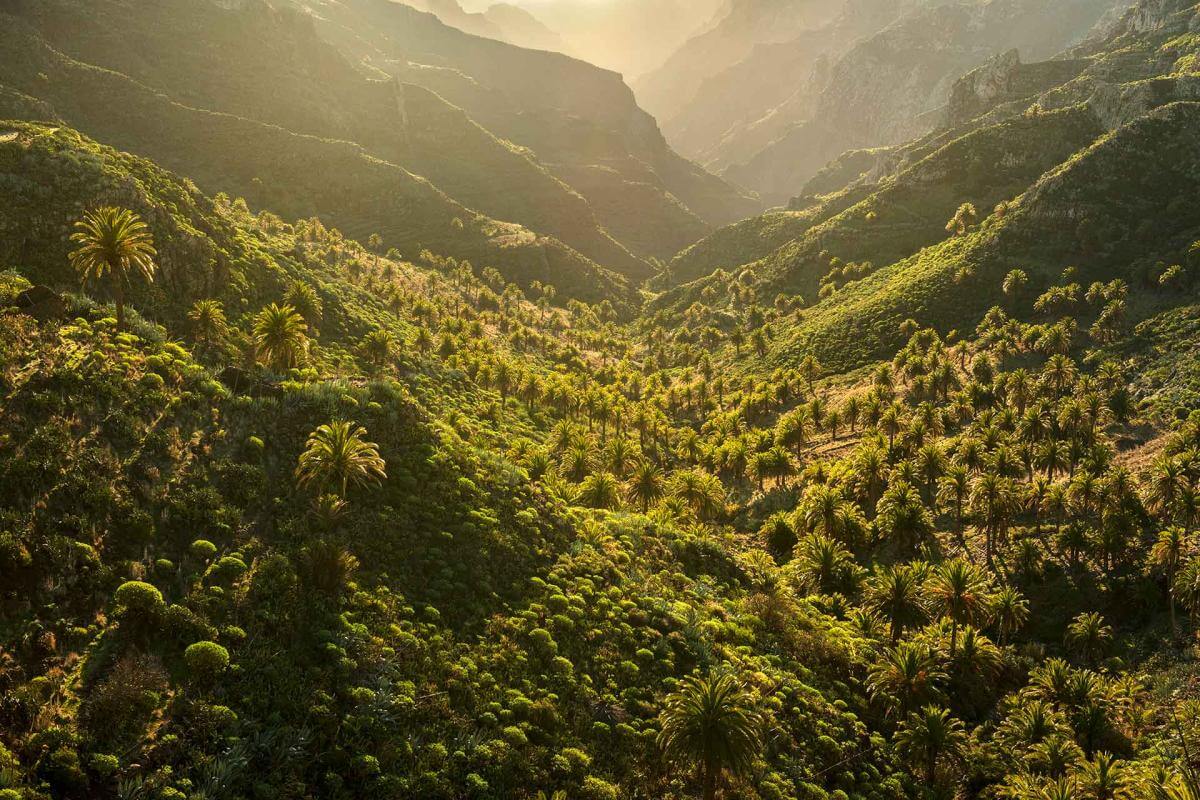 Barranco del Cabrito