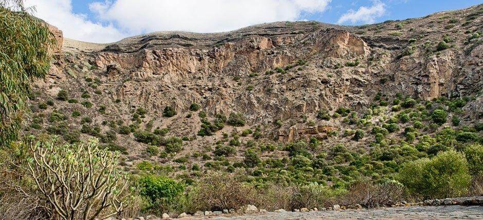 Caldera de Bandam + Pathways in Gran Canaria 