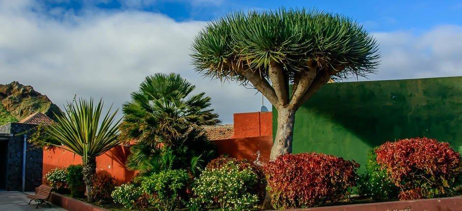 El Palmar Hamlets of Tenerife