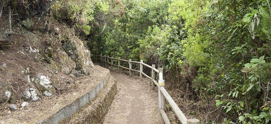 Cubo de la Galga + Pathways of La Palma