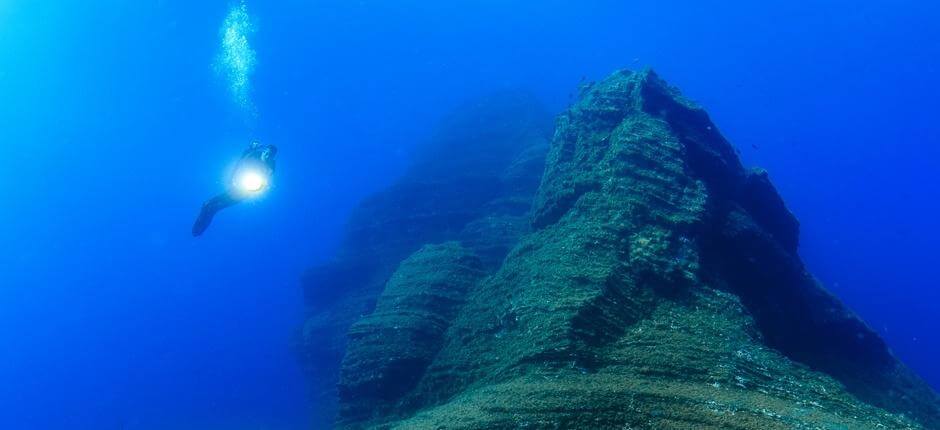 Diving in El Bajón in El Hierro