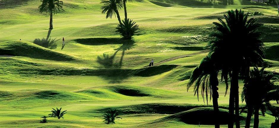 El Cortijo Club de Campo Golf courses of Gran Canaria