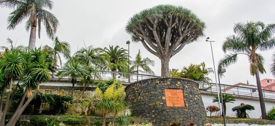 El Sauzal, Charming towns of Tenerife