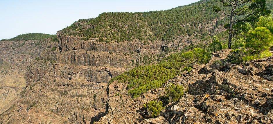 Climbing in Tamadaba Climbing in Gran Canaria